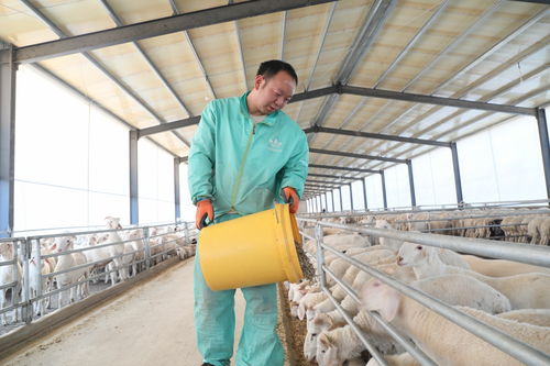 衡水新聞網(wǎng)