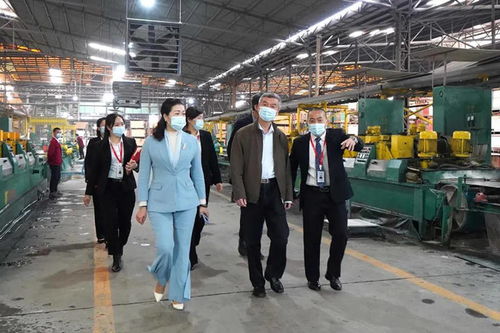 中國建筑衛(wèi)生陶瓷協會會長繆斌一行蒞臨方向企業(yè)參觀交流